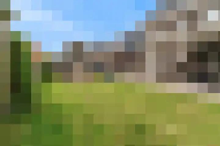 Praam 3 Wervershoof thumbnail 47