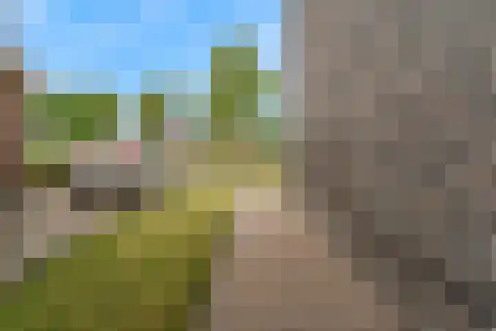 Praam 3 Wervershoof thumbnail 51