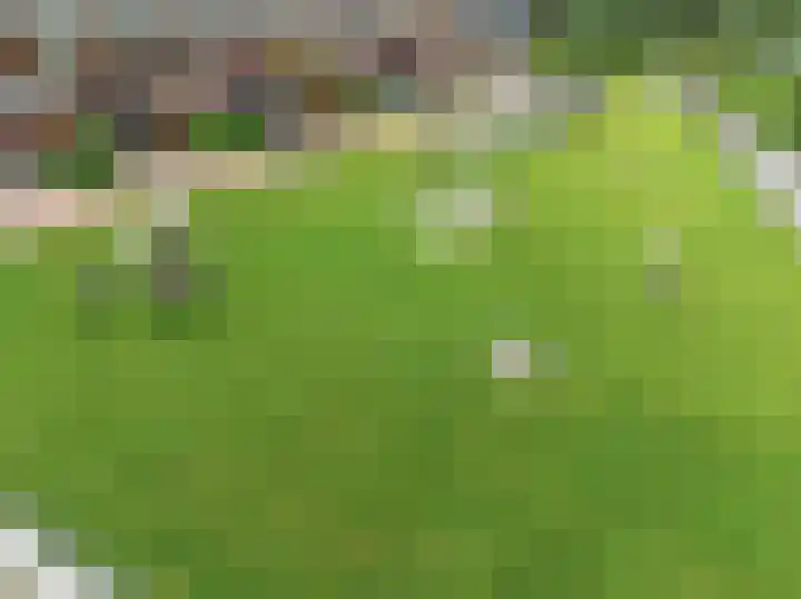 Praam 3 Wervershoof thumbnail 56