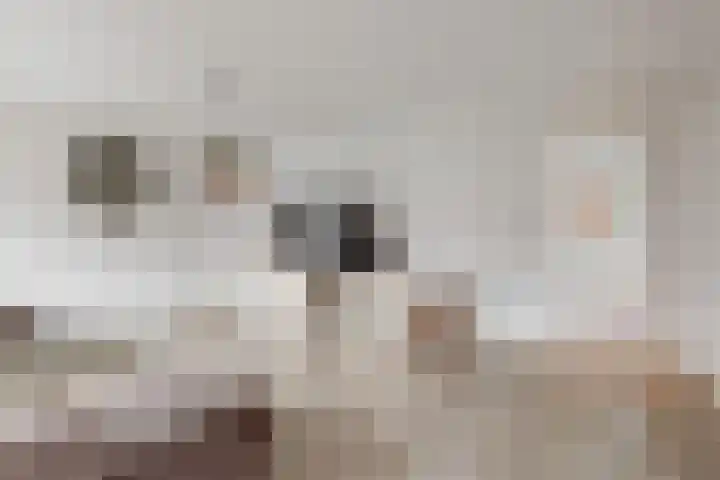 Praam 3 Wervershoof thumbnail 8