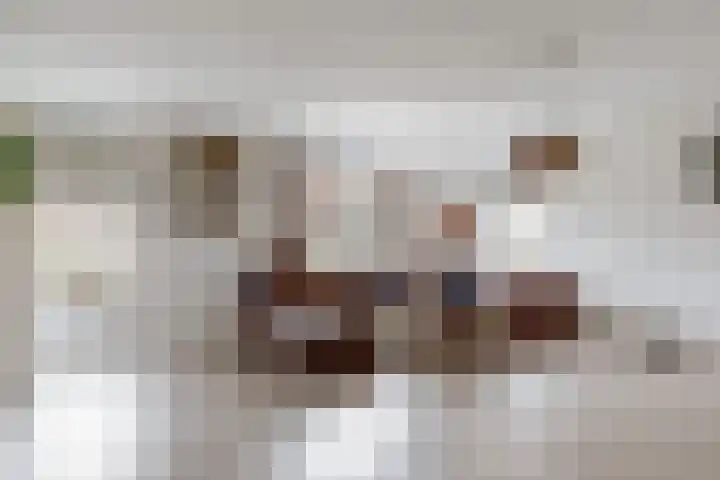 Praam 3 Wervershoof thumbnail 9