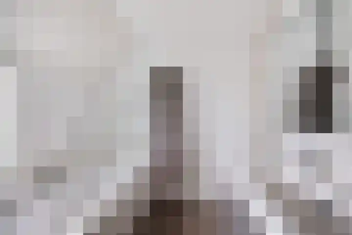 Praam 32 Heerenveen thumbnail 30
