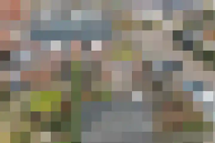 Praam 32 Heerenveen thumbnail 38