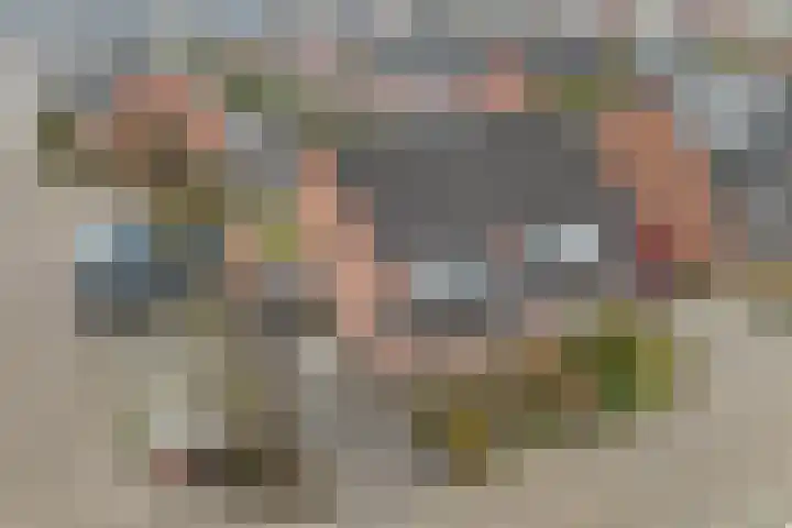 Praam 32 Heerenveen thumbnail 39