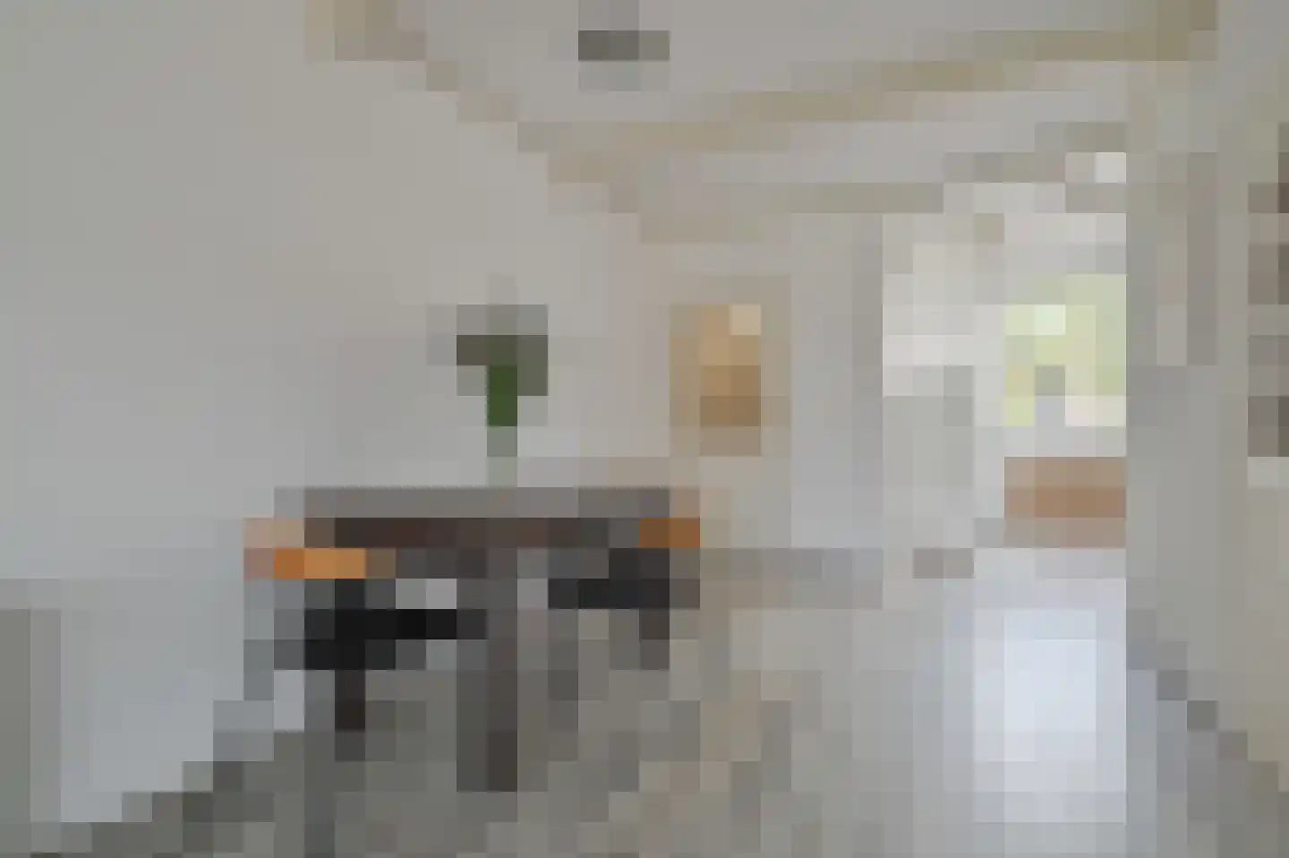 Praam 321 Amstelveen thumbnail 10