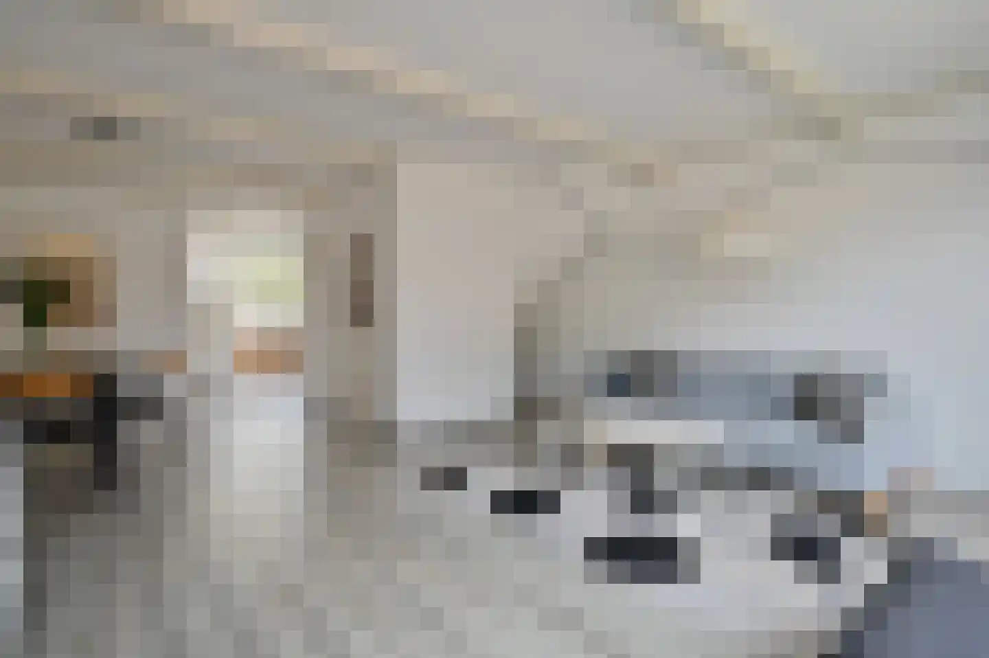 Praam 321 Amstelveen thumbnail 4