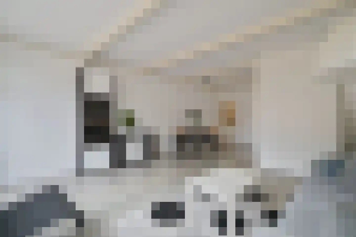 Praam 321 Amstelveen thumbnail 5