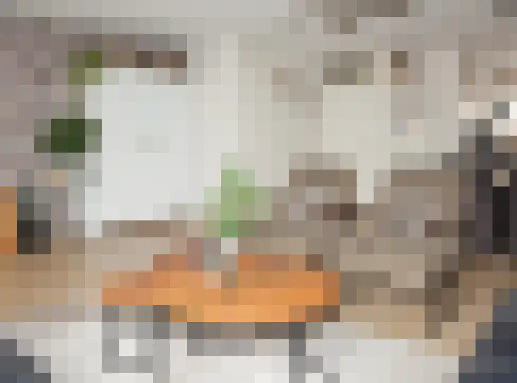 Praam 48 Etten-Leur thumbnail 14