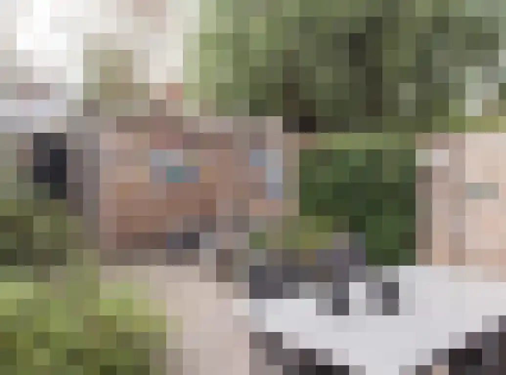 Praam 48 Etten-Leur thumbnail 31