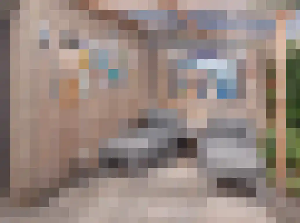 Praam 48 Etten-Leur thumbnail 32