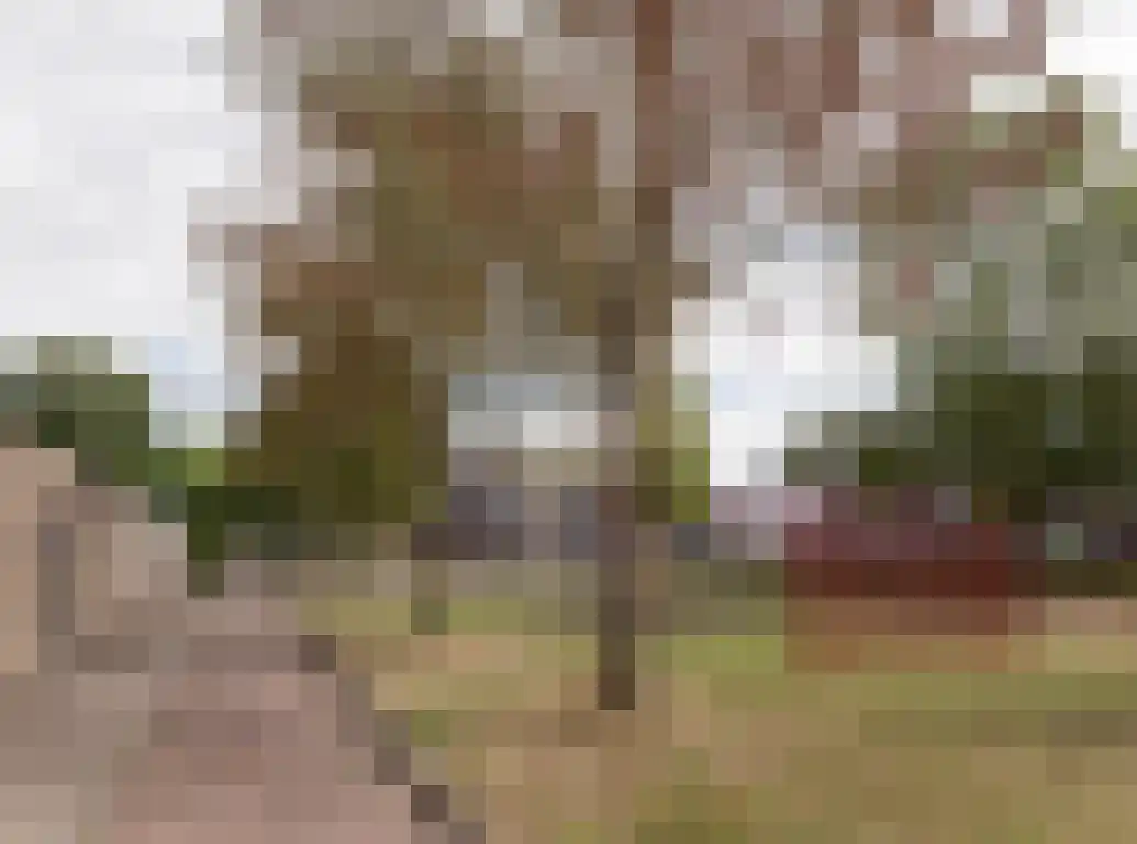 Praam 48 Etten-Leur thumbnail 36