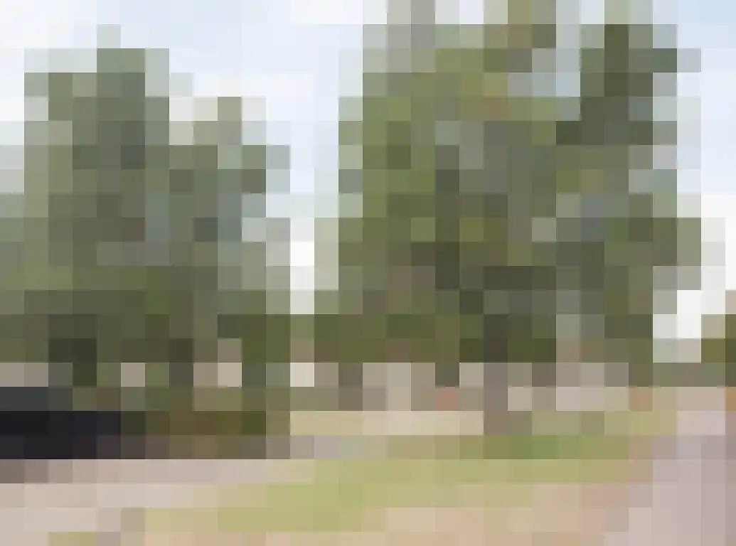 Praam 48 Etten-Leur thumbnail 37