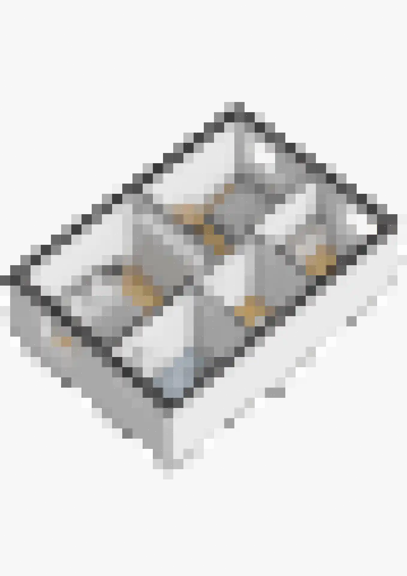 Praam 48 Etten-Leur thumbnail 41