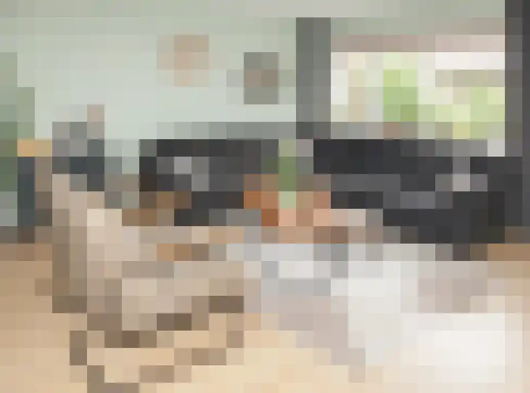 Praam 48 Etten-Leur thumbnail 9