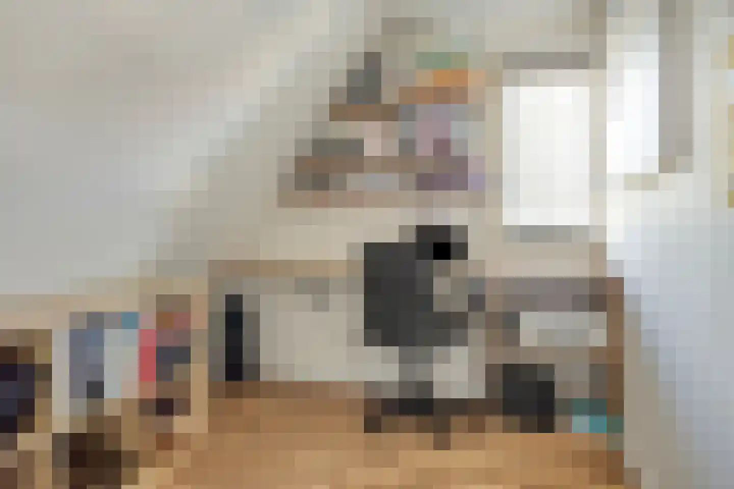 Praam 53 Heerenveen thumbnail 27
