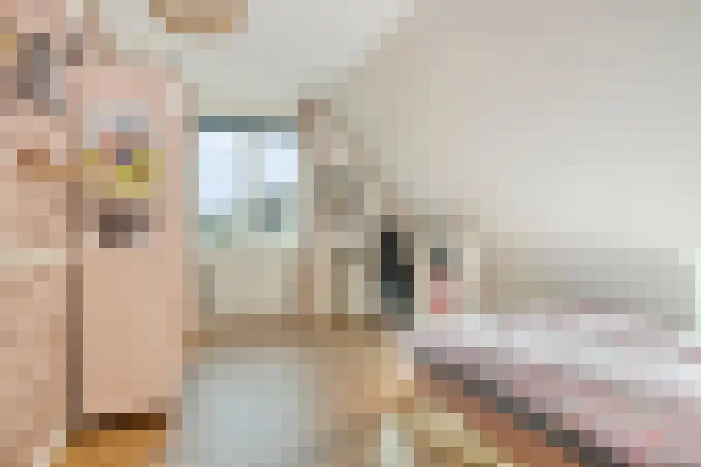 Praam 53 Heerenveen thumbnail 30
