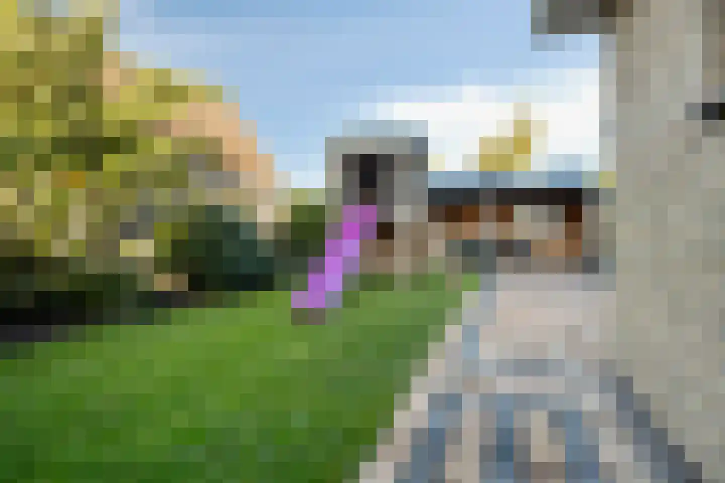 Praam 53 Heerenveen thumbnail 35