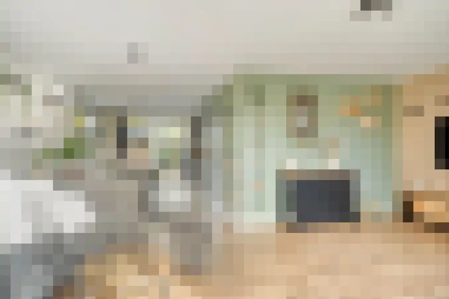 Praam 53 Heerenveen thumbnail 4