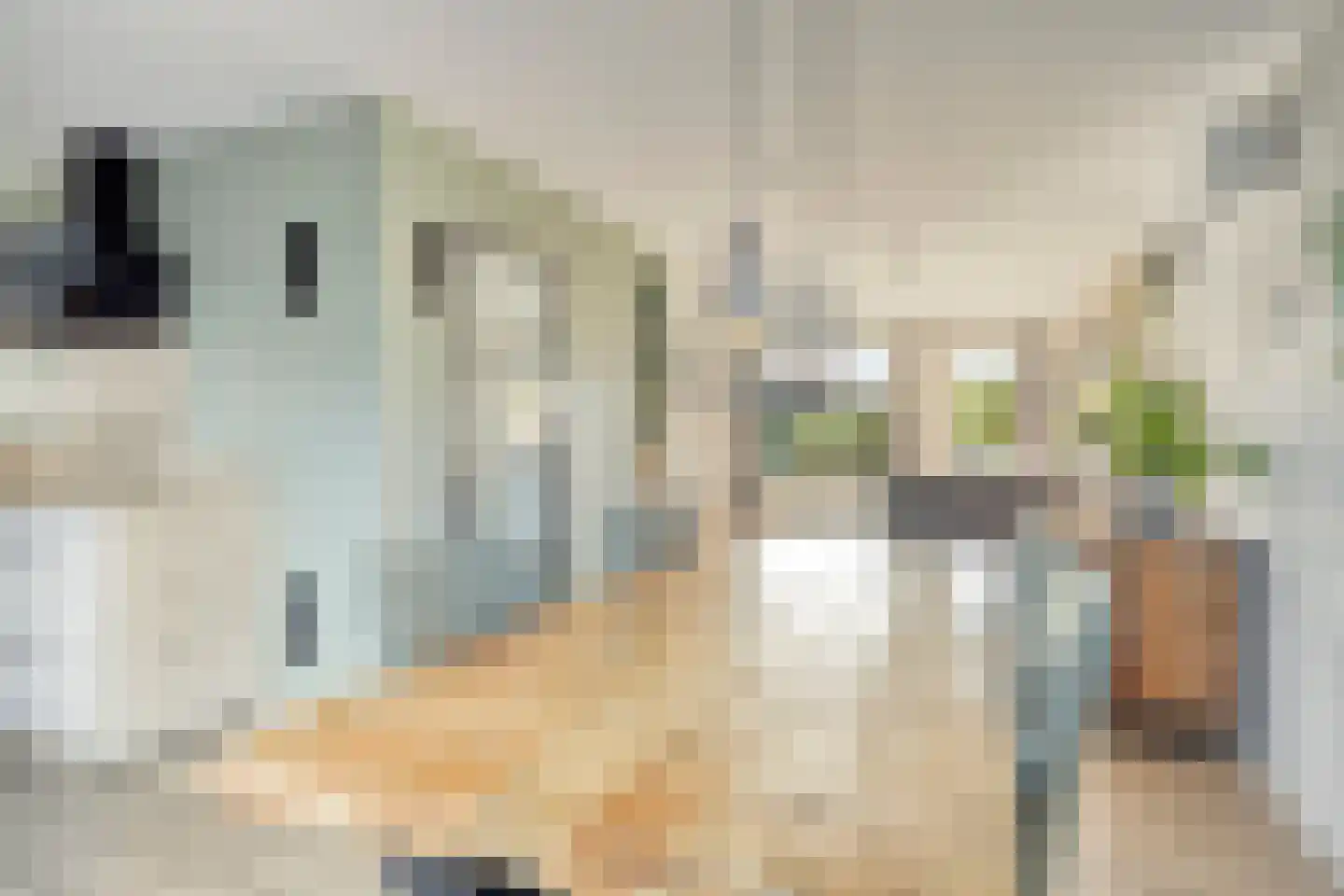 Praam 53 Heerenveen thumbnail 5