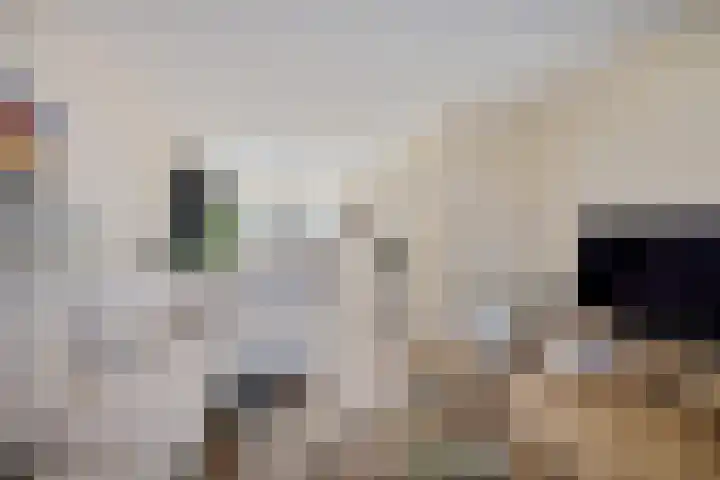 Praam 7 Heerenveen thumbnail 10