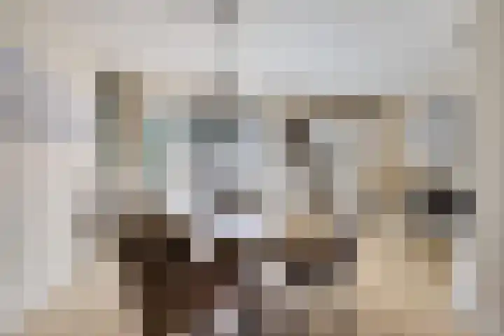 Praam 7 Heerenveen thumbnail 12