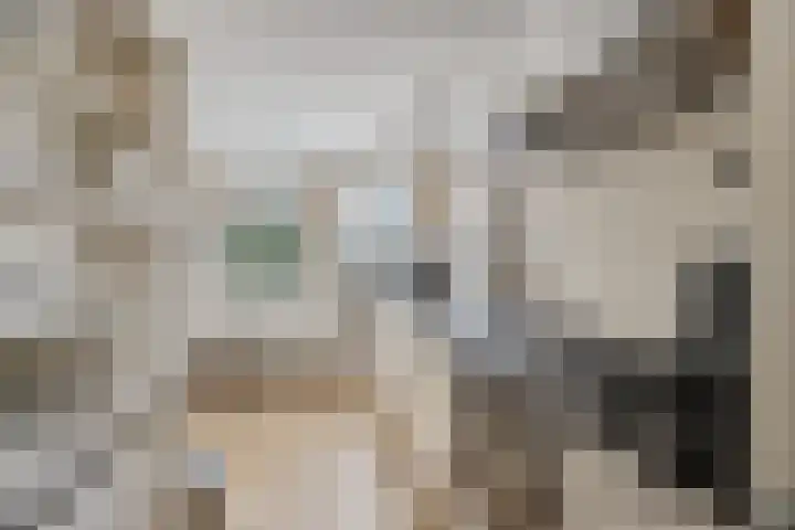 Praam 7 Heerenveen thumbnail 14