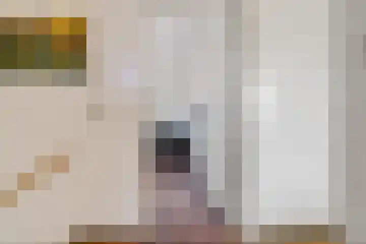 Praam 7 Heerenveen thumbnail 18