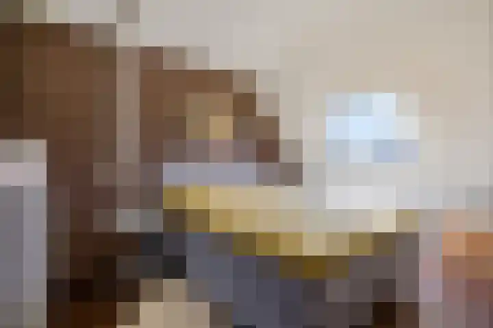 Praam 7 Heerenveen thumbnail 21