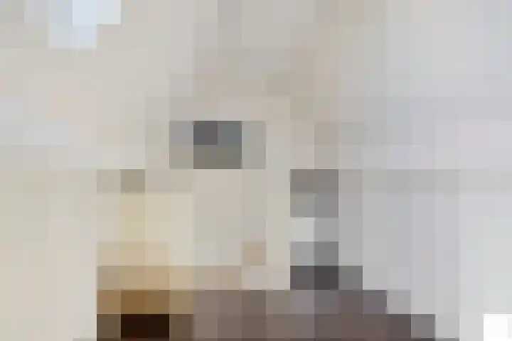 Praam 7 Heerenveen thumbnail 28