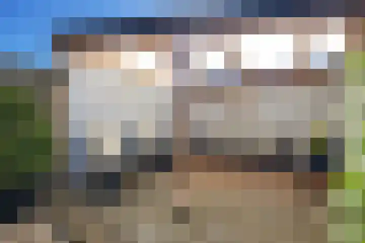 Praam 7 Heerenveen thumbnail 31