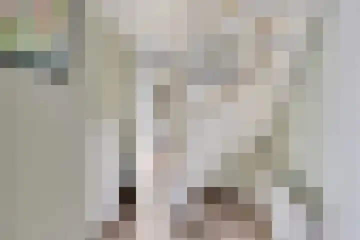 Praam 7 Heerenveen thumbnail 4