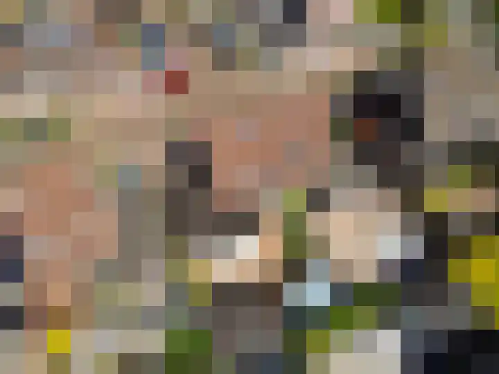 Praam 7 Heerenveen thumbnail 42
