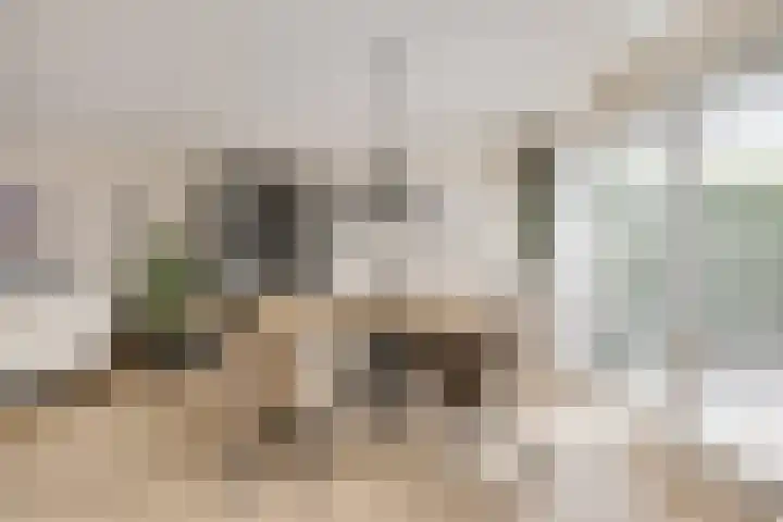 Praam 7 Heerenveen thumbnail 6