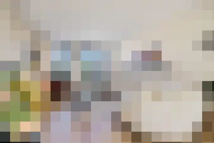 Praam 7 Heerenveen thumbnail 8