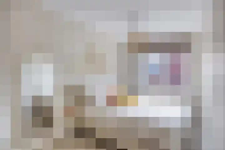 Praam 7 IJsselmuiden thumbnail 13