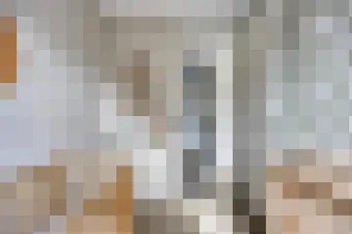 Praam 7 IJsselmuiden thumbnail 16