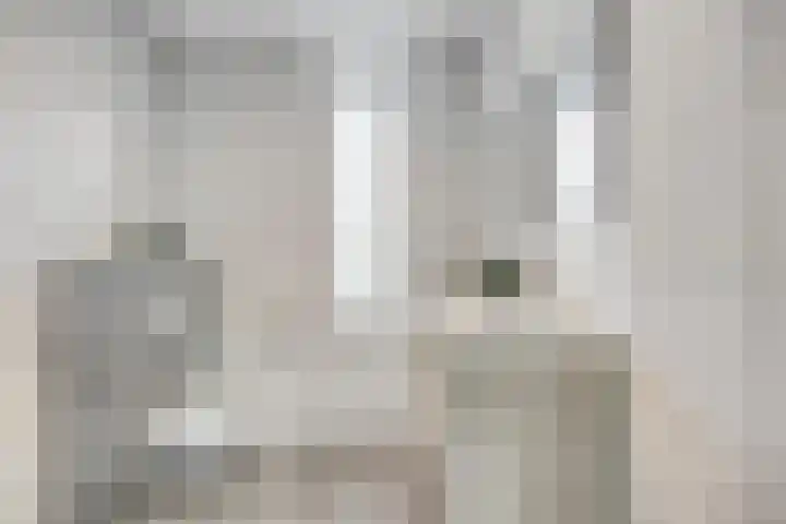 Praam 7 IJsselmuiden thumbnail 18