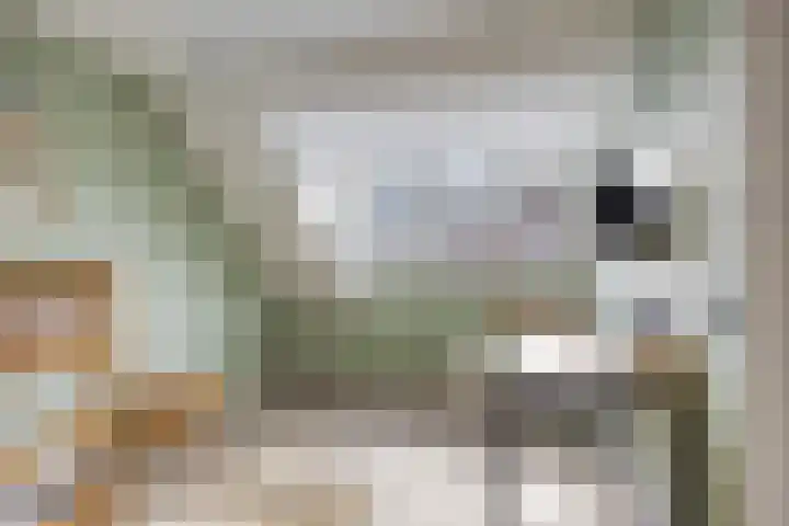 Praam 7 IJsselmuiden thumbnail 21