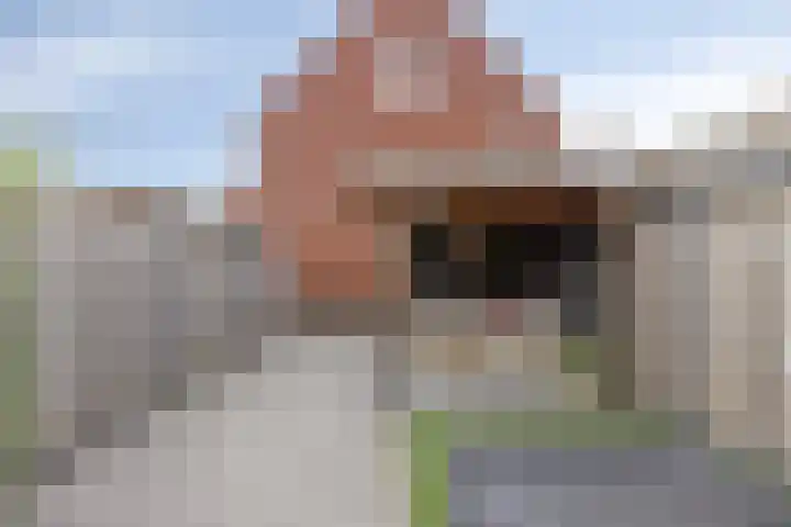 Praam 7 IJsselmuiden thumbnail 26