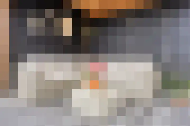 Praam 7 IJsselmuiden thumbnail 27