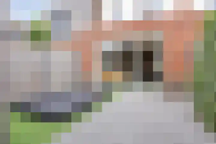 Praam 7 IJsselmuiden thumbnail 29