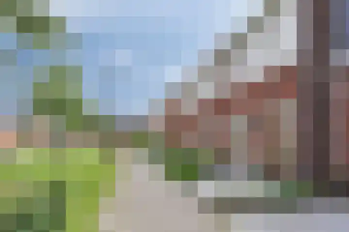 Praam 7 IJsselmuiden thumbnail 30