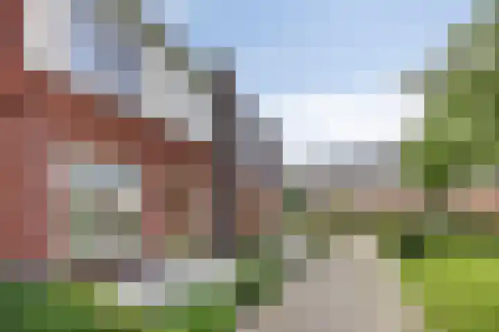 Praam 7 IJsselmuiden thumbnail 31