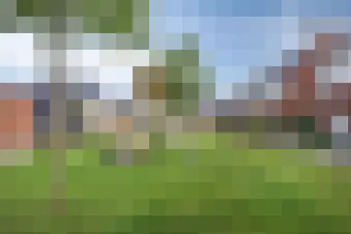 Praam 7 IJsselmuiden thumbnail 32