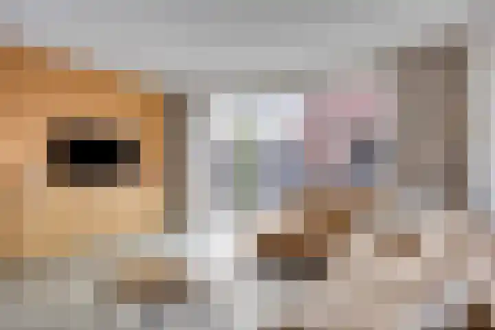 Praam 7 IJsselmuiden thumbnail 5