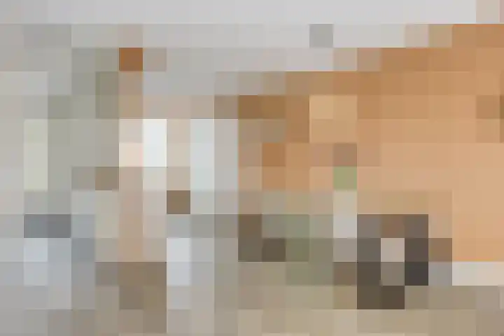 Praam 7 IJsselmuiden thumbnail 6