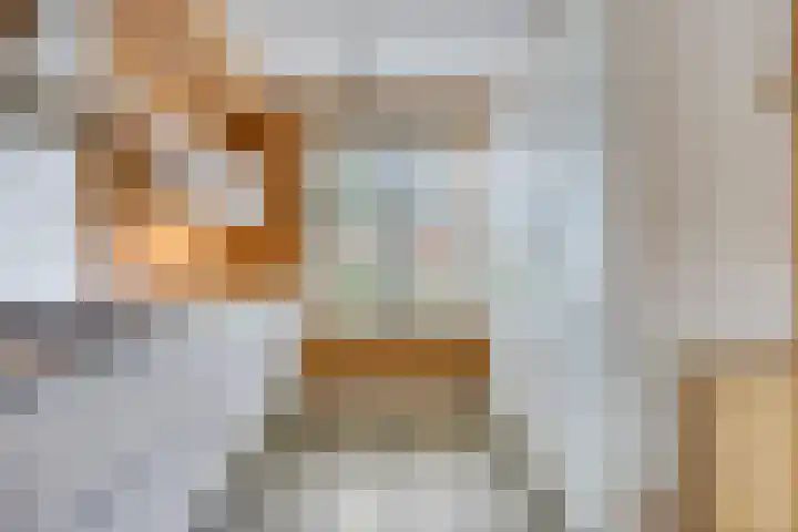 Praam 7 IJsselmuiden thumbnail 8