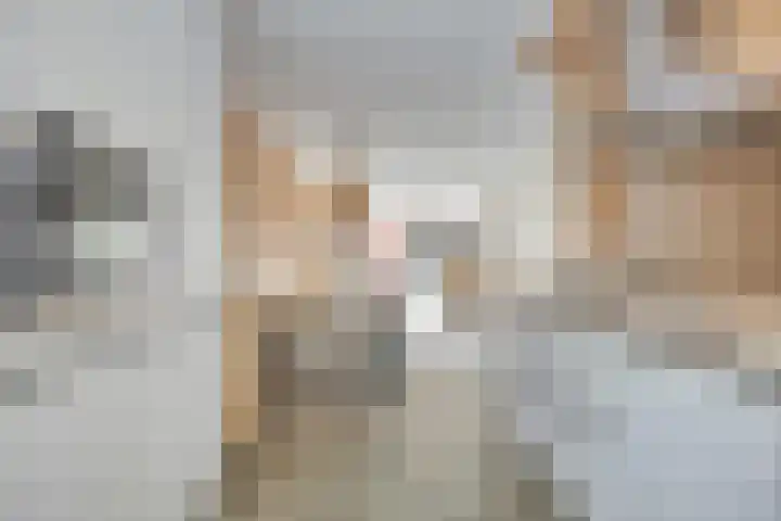 Praam 7 IJsselmuiden thumbnail 9
