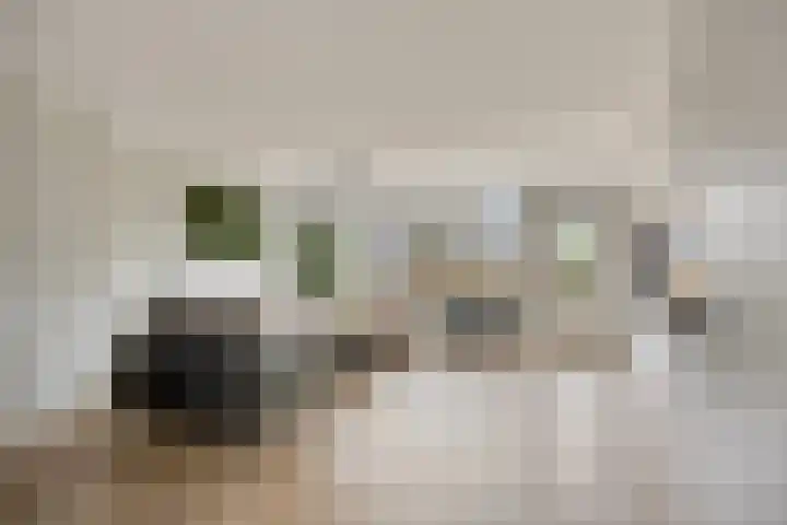 Praamkade 14 Zoetermeer thumbnail 12