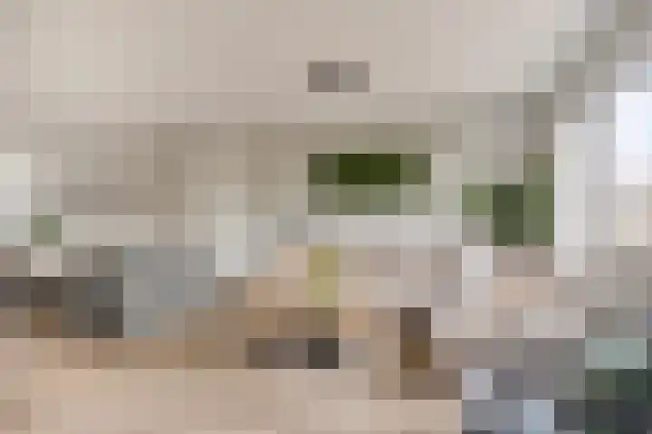 Praamkade 14 Zoetermeer thumbnail 15